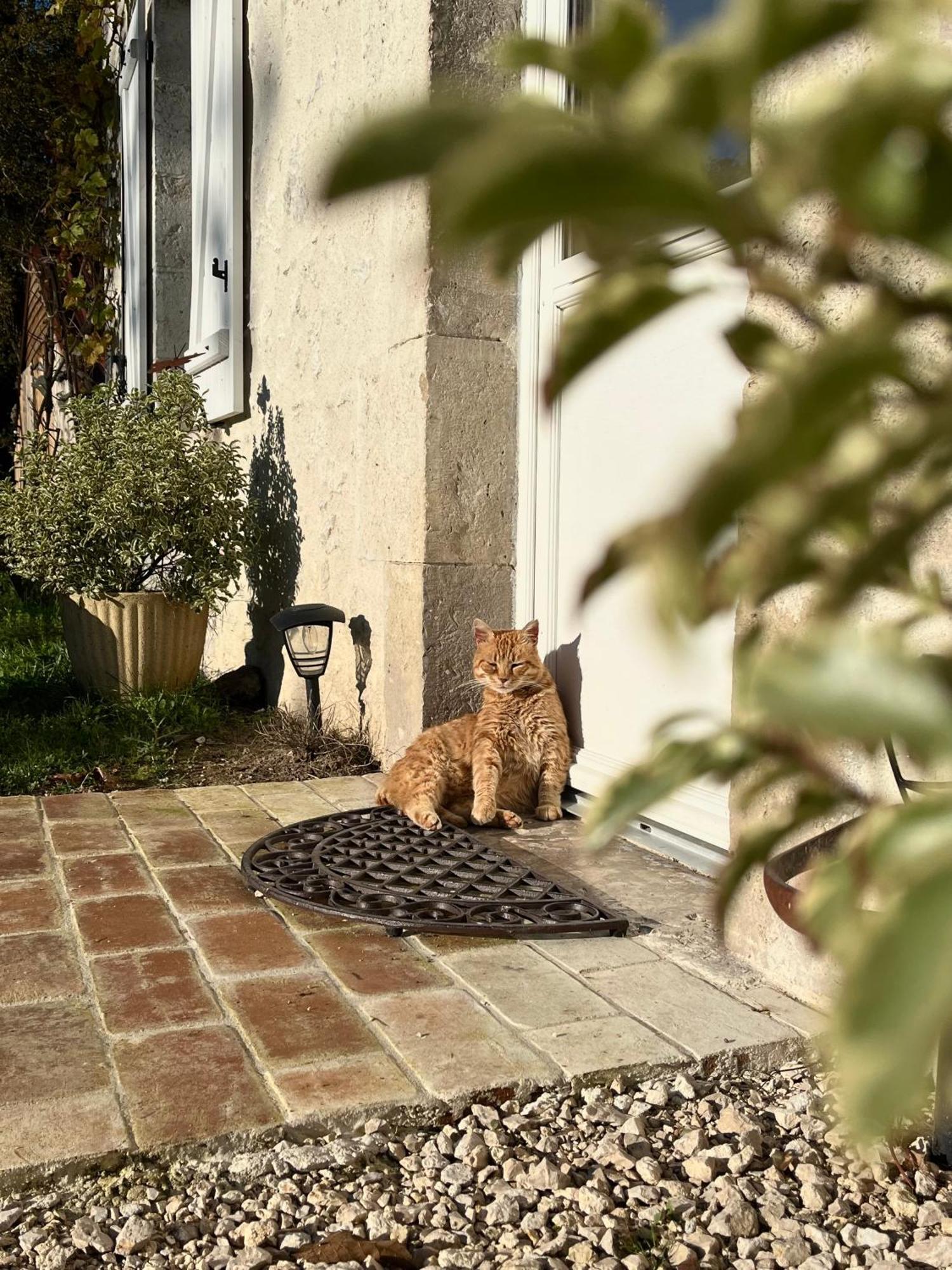 Maison Moz Fontaines-en-Sologne Exteriör bild